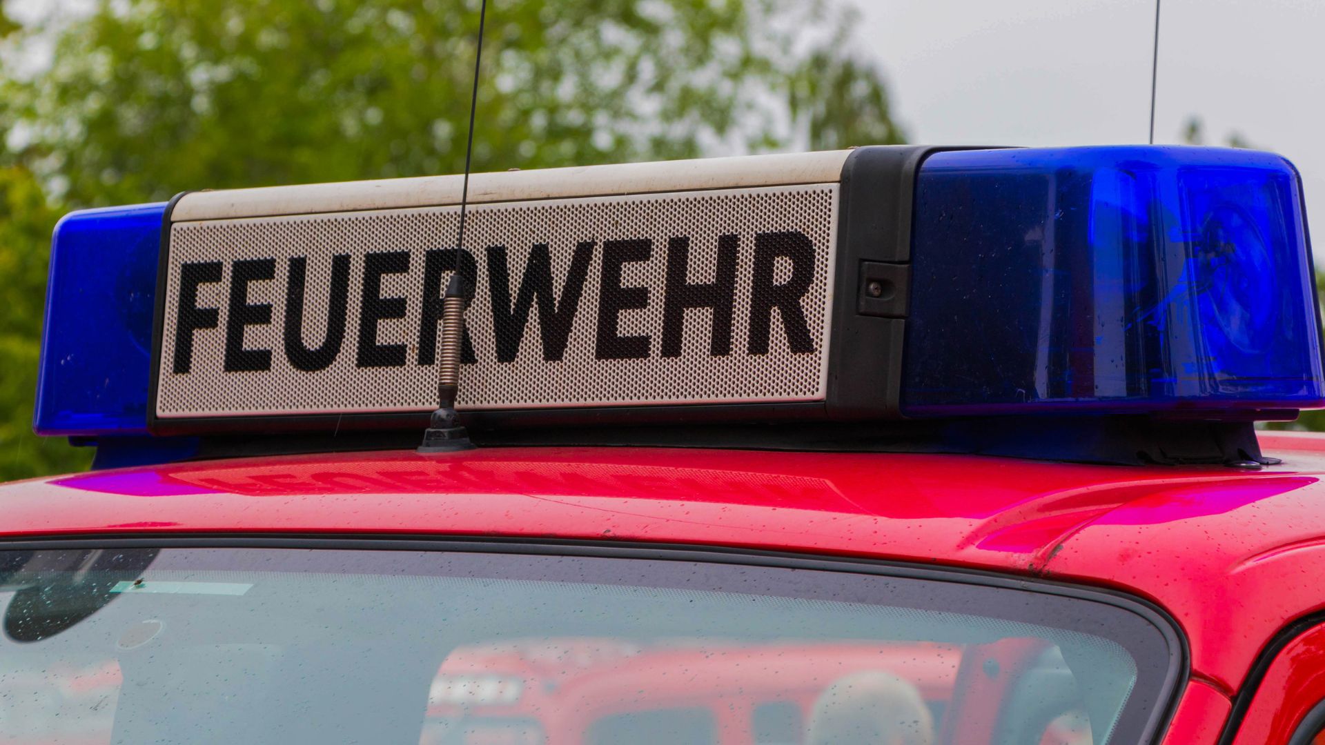 Feuerwehrauto Blaulicht vor einem Baum an einem regnerischem Tag
