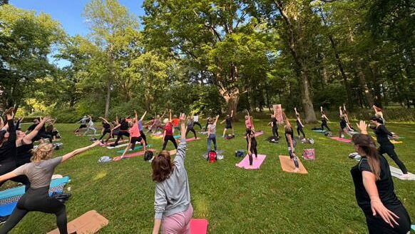 Yoga im Park Branitz: Balance zwischen Fitness und Entspannung