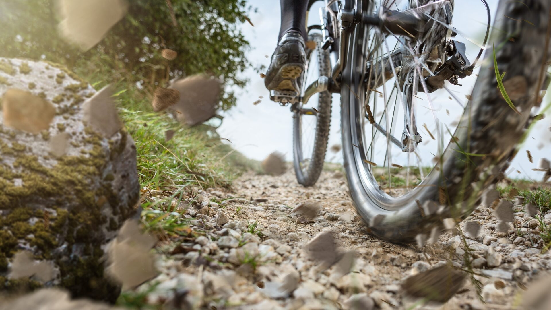 Mountainbikereifen