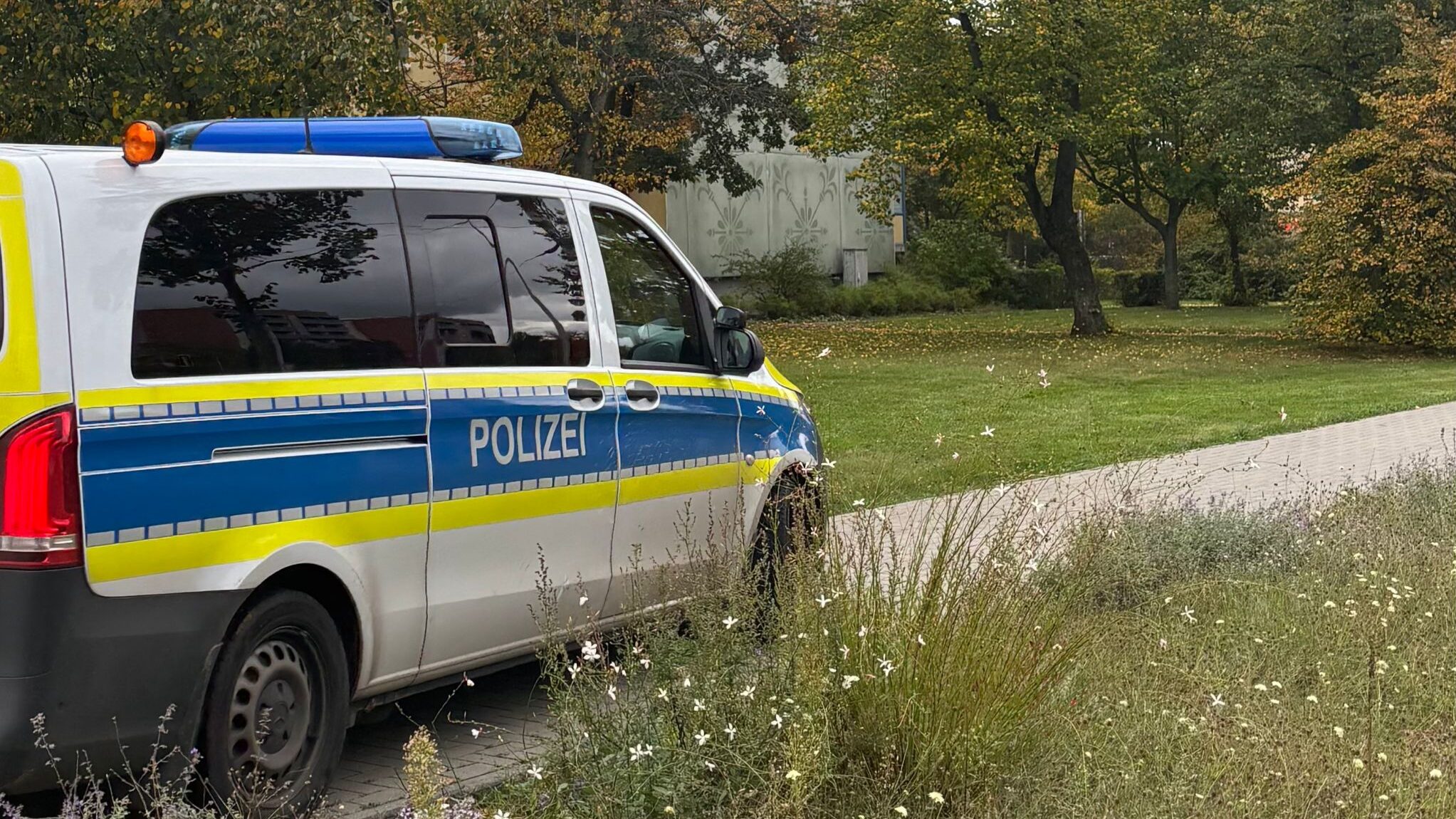 Nächtliche Brandserie in Cottbus: Mülltonnen standen lichterloh in Flammen