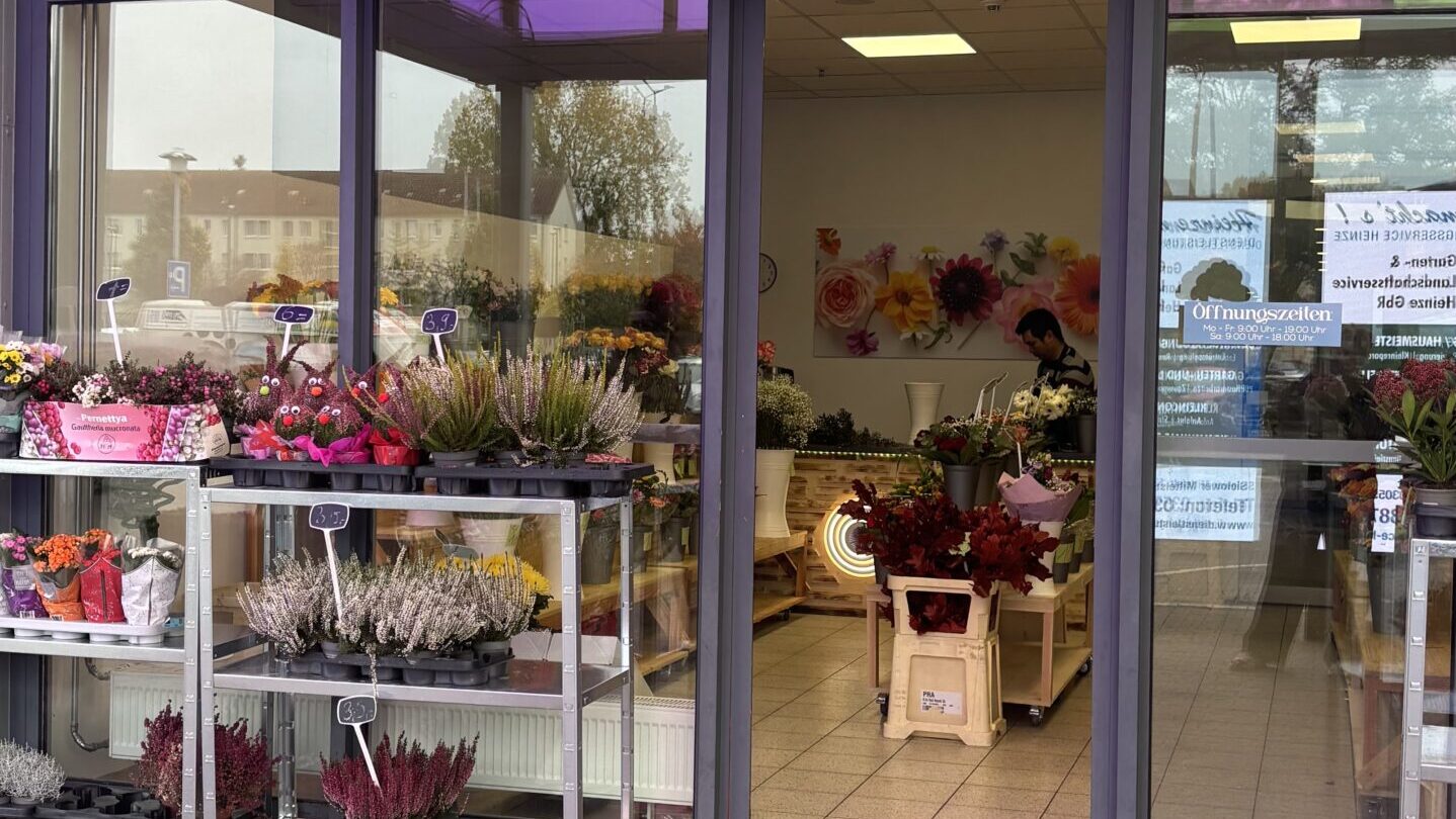 Neuer Blumenladen bringt Fabre zurück ins TKC in Schmellwitz AC