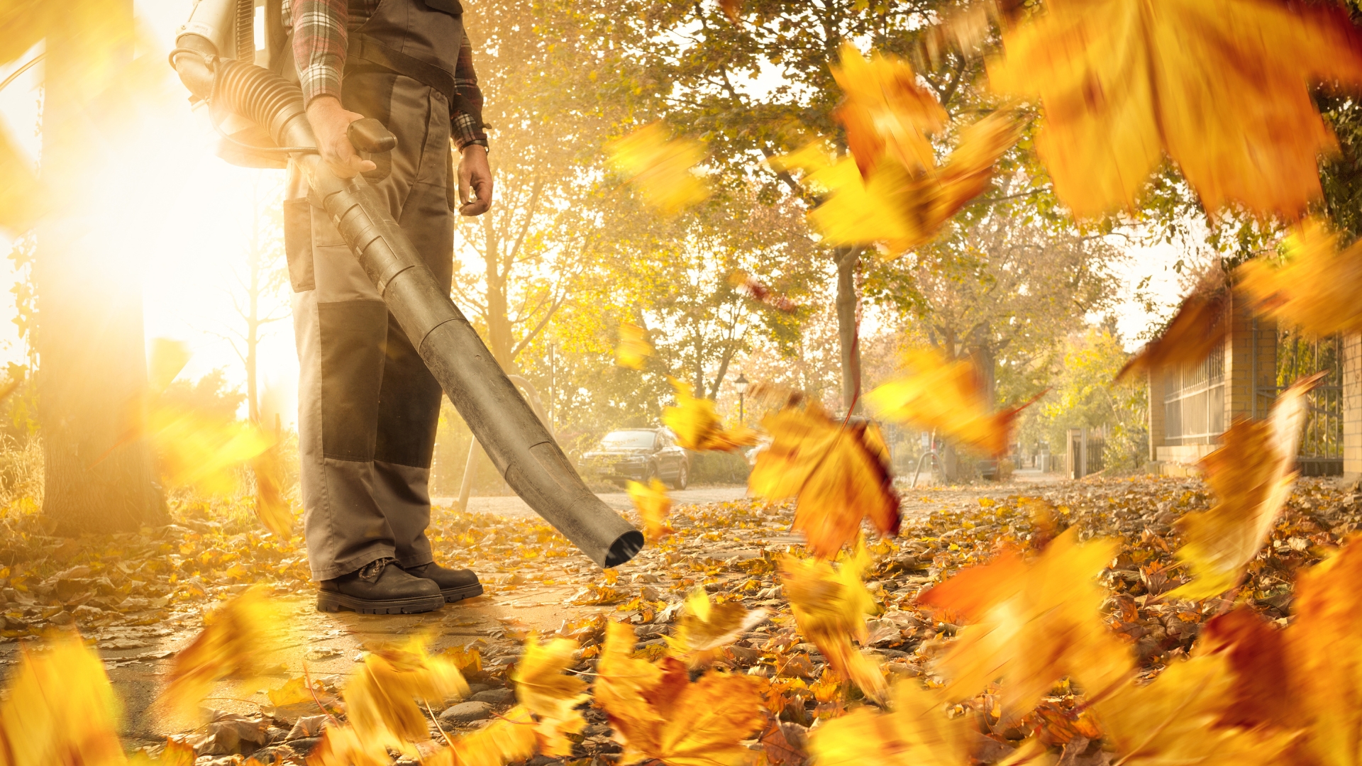 Gemeinsam dem Müll den Kampf ansagen – für ein grünes Cottbus
