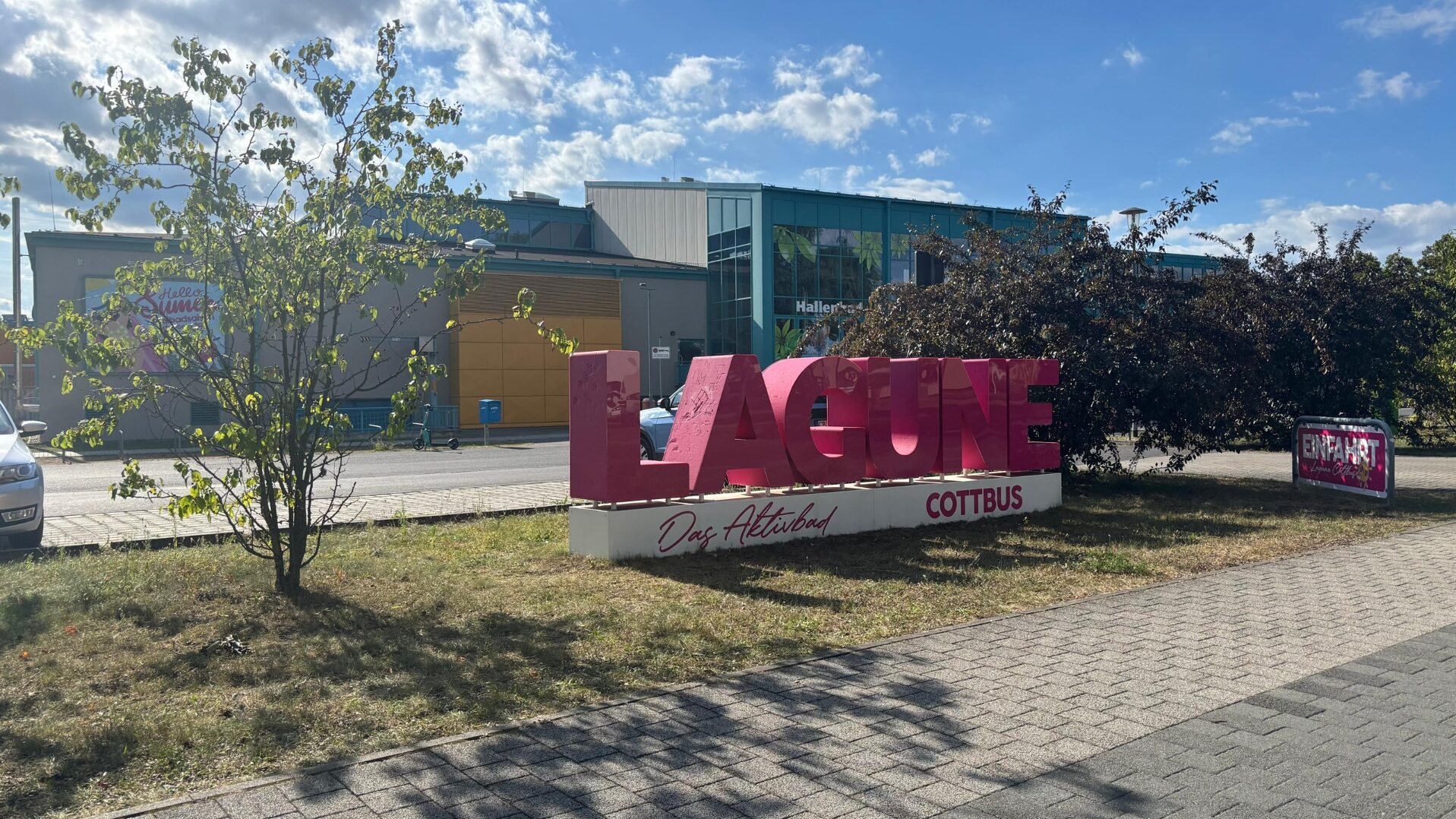 24-Stunden-Schwimmen Cottbus: Rekordzahlen und starke Leistungen