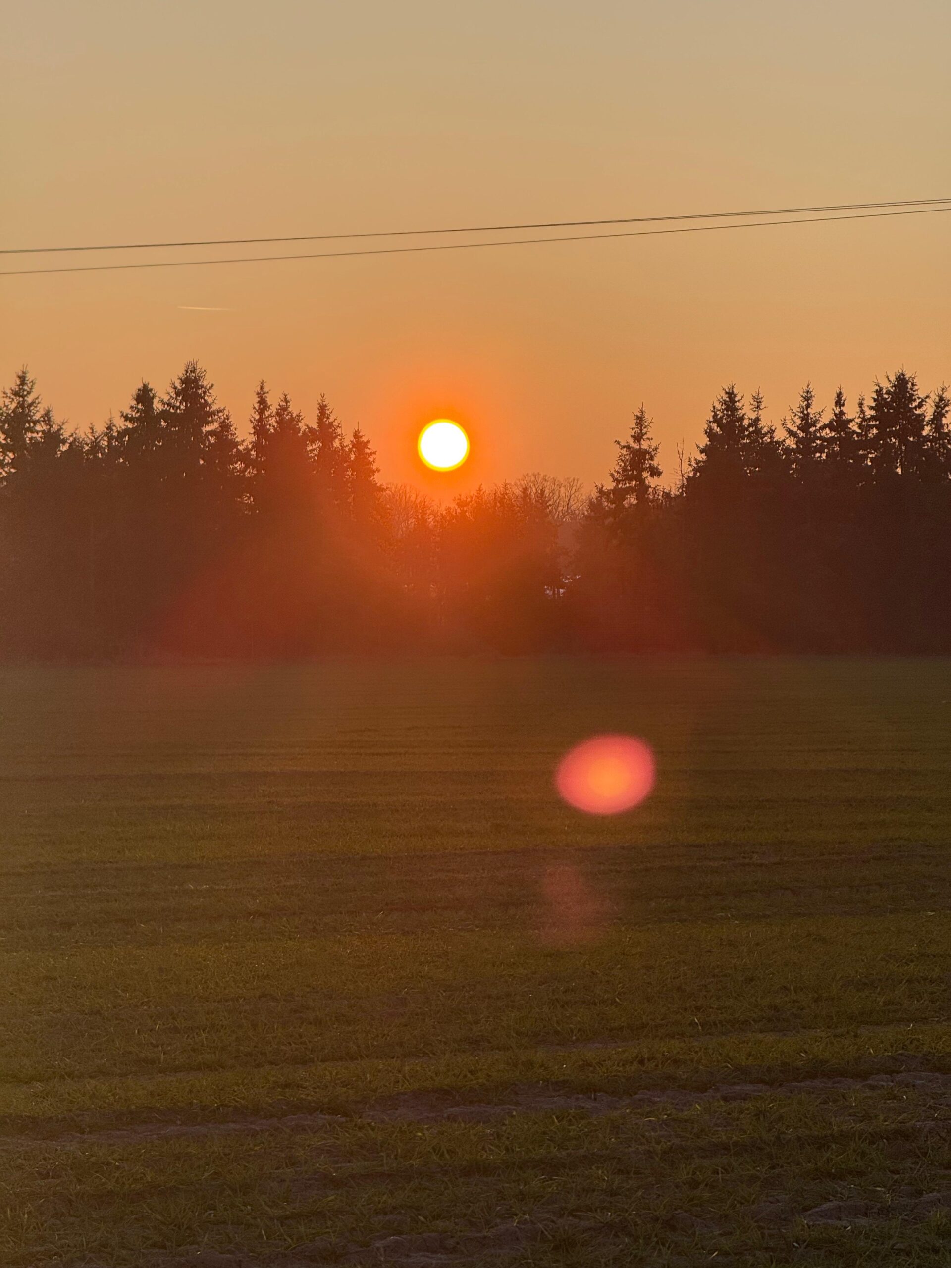 Wer in Cottbus wohnt, hat das große Los gezogen