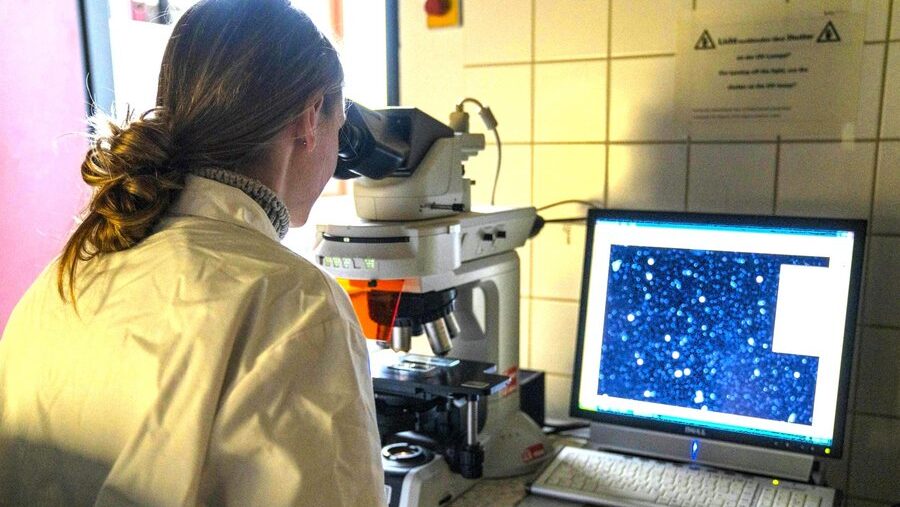 BTU öffnet Labore: „Wissenschaft trifft Schule“ bringt junge Köpfe in Berührung mit Forschung