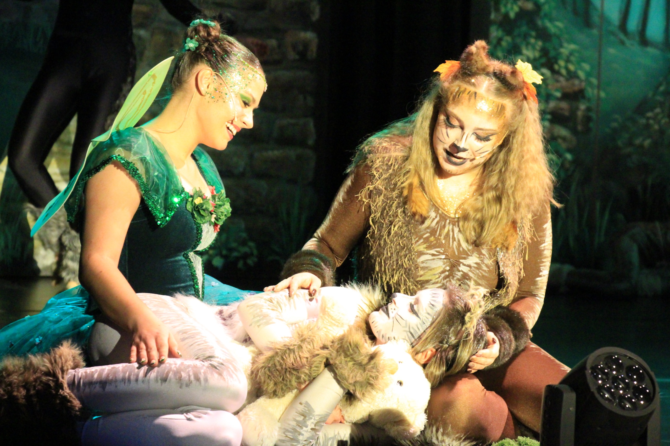 Katzen tanzen nicht mit Wölfen - Cottbuser Kindermusical