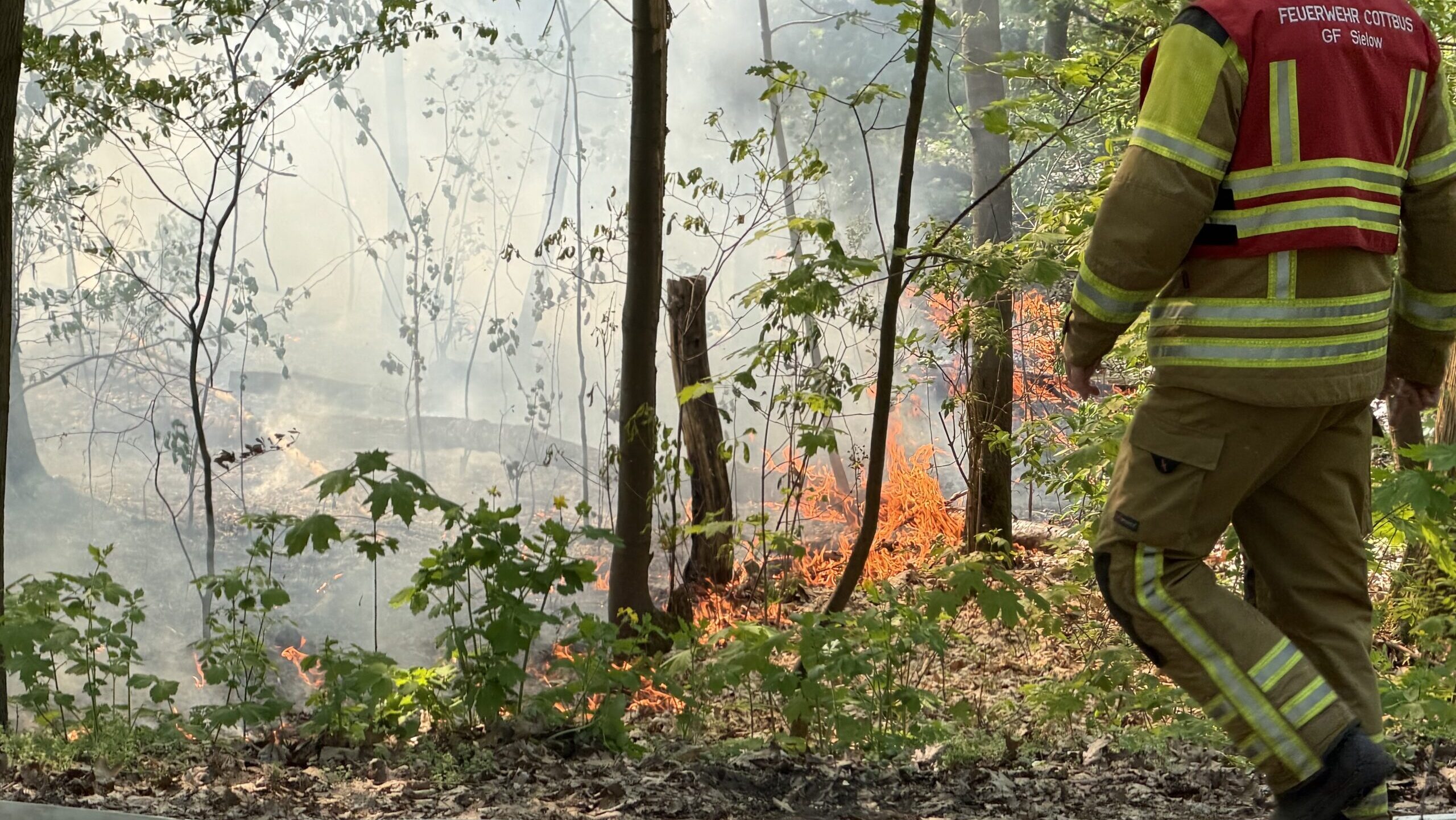 Feuer am Nordring schnell gelöscht – Waldbrandgefahr bleibt hoch