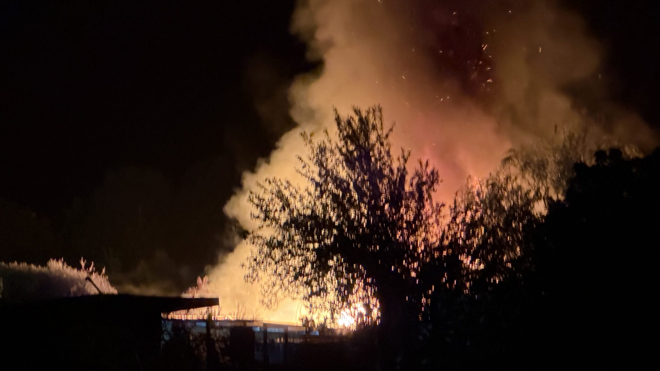 Gartenlaubenbrand in Ströbitz: Feuerwehr stoppt Flammen rechtzeitig